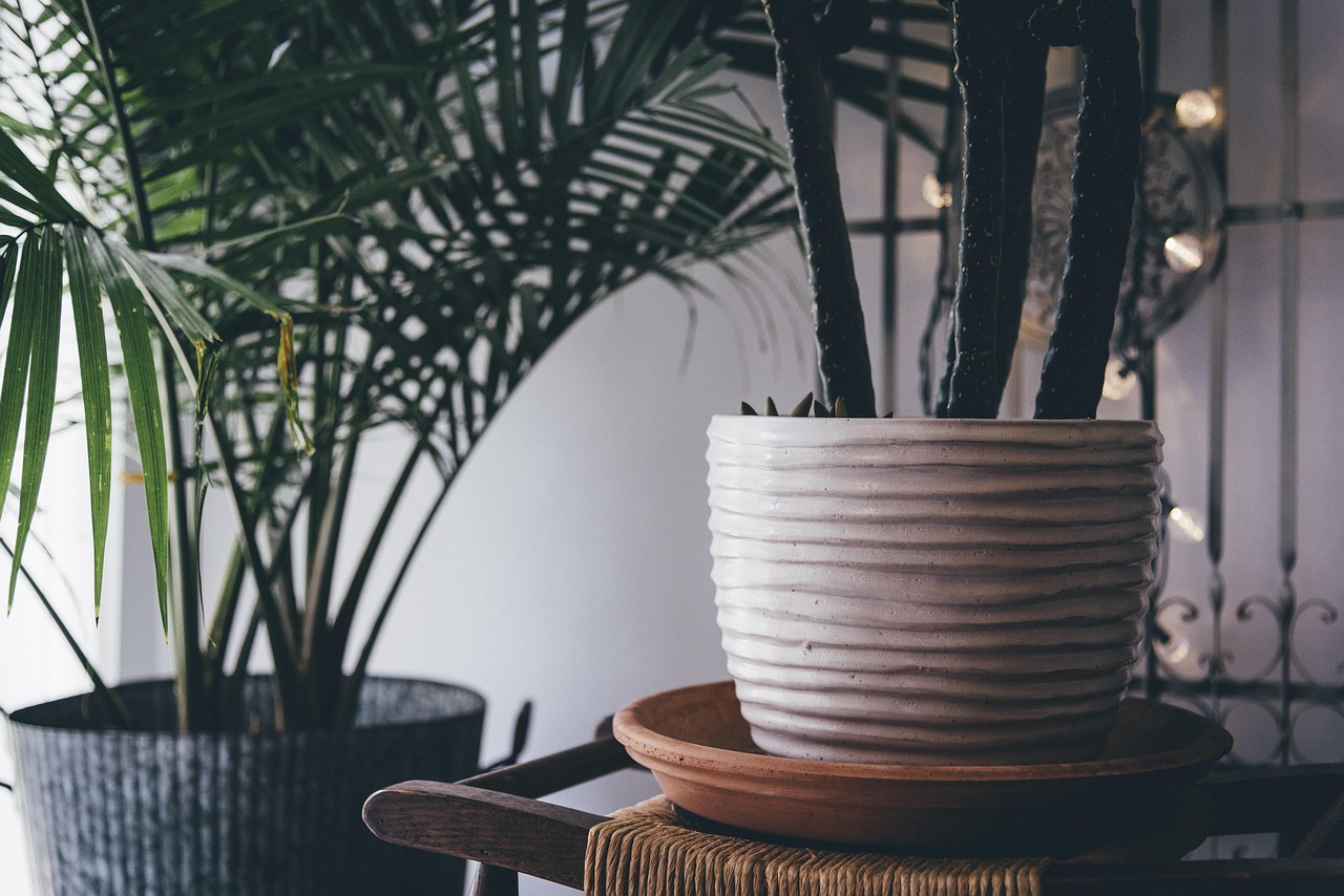 Como Incluir Verde Sem Pesar na Decoração de Interiores ou Paisagismo: Dicas com Vasos e Estilo